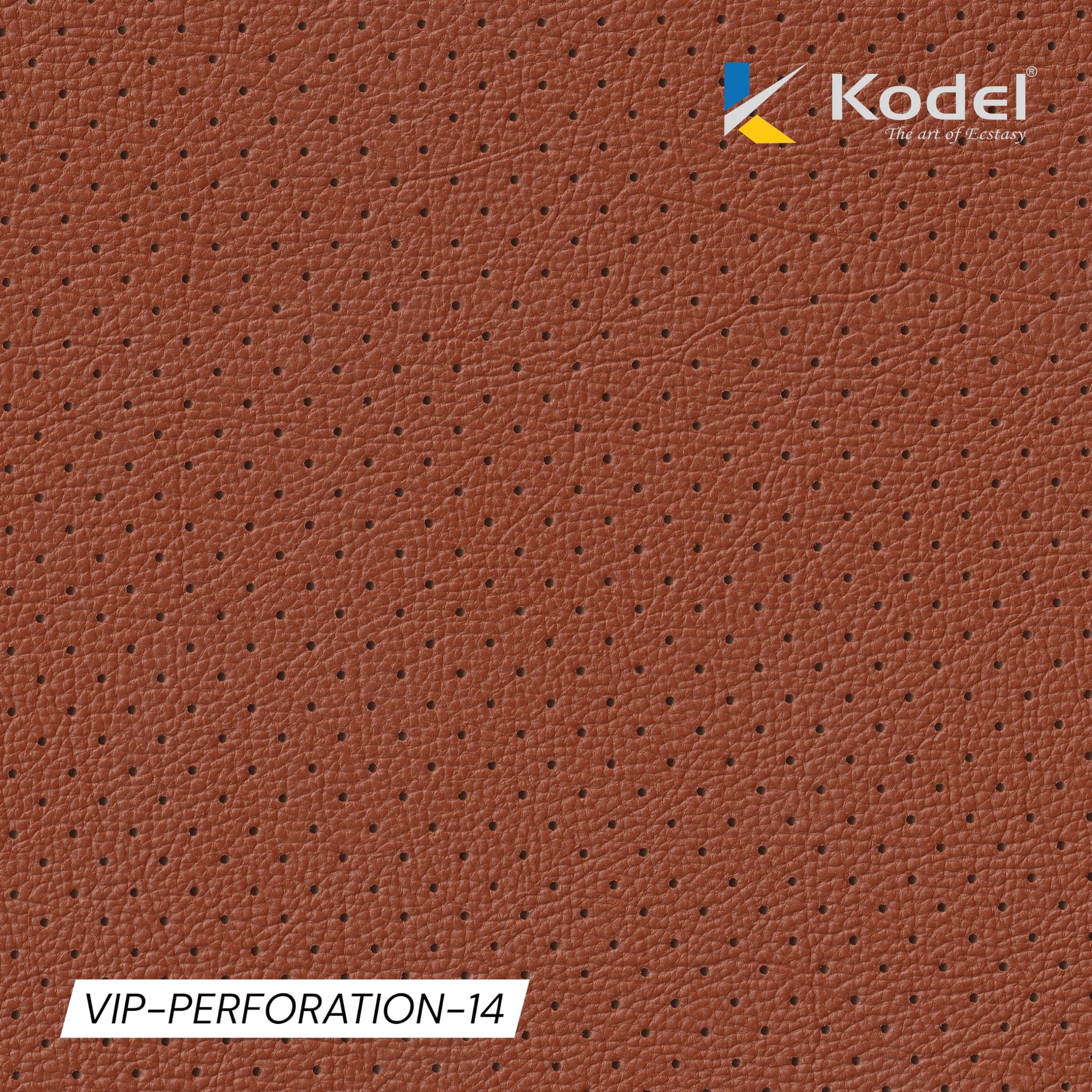 VIP Perforation-14