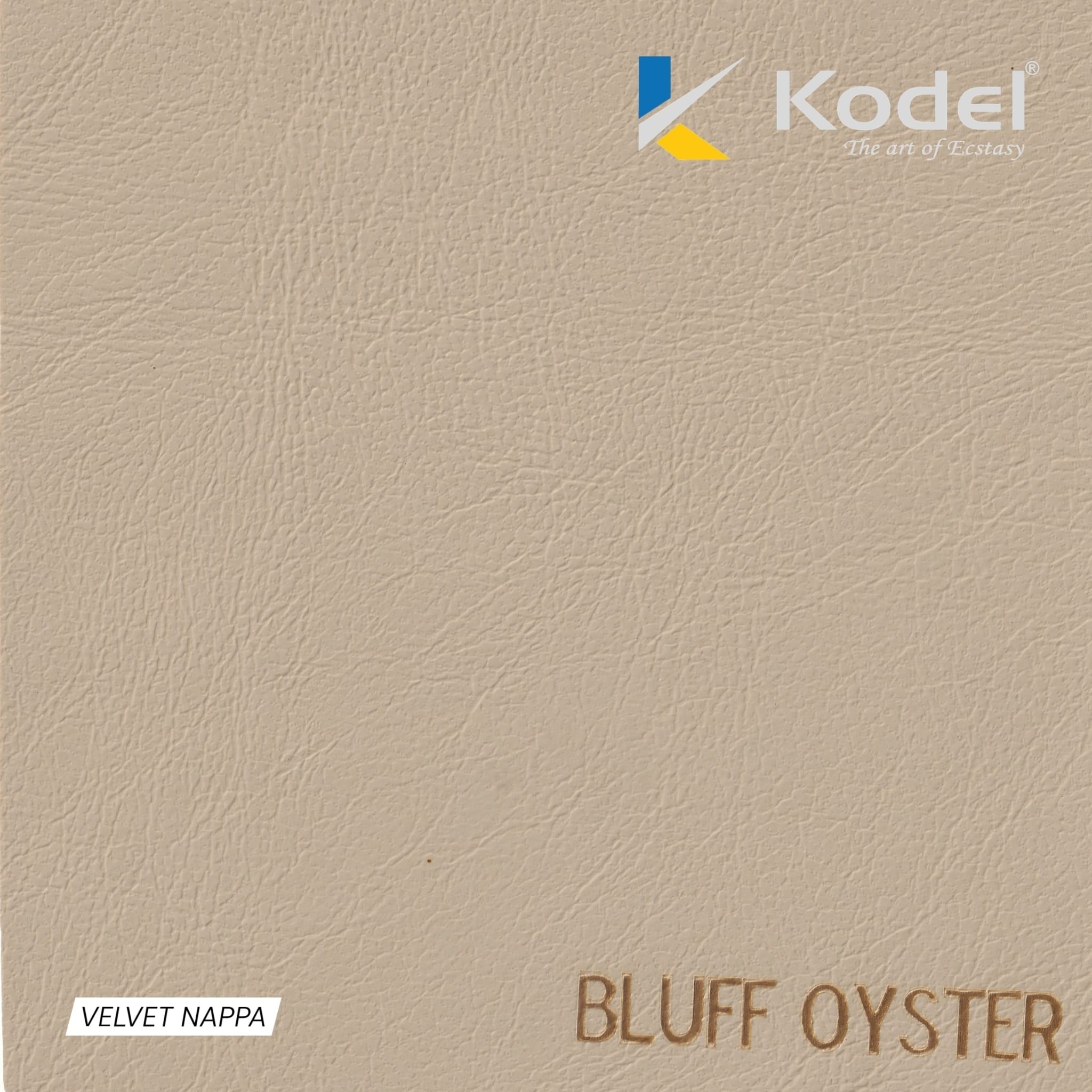 BUFF OYSTER