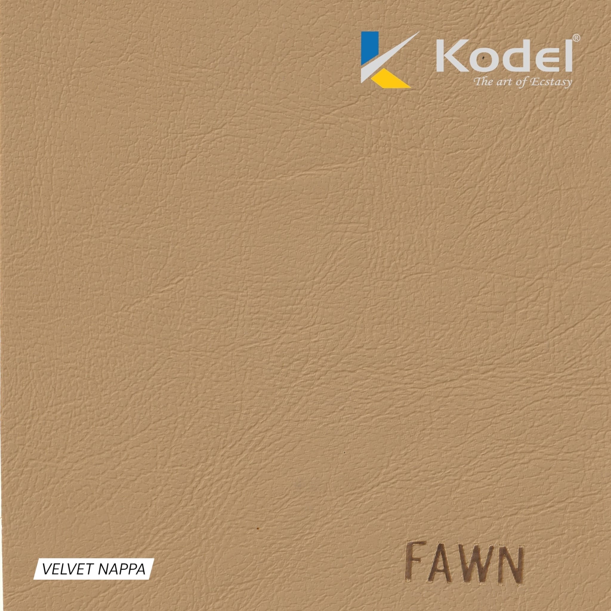 FAWN