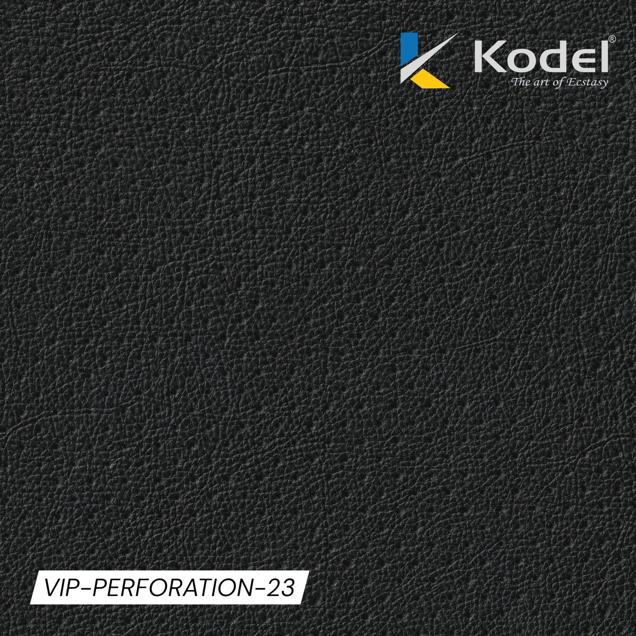 VIP Perforation-23