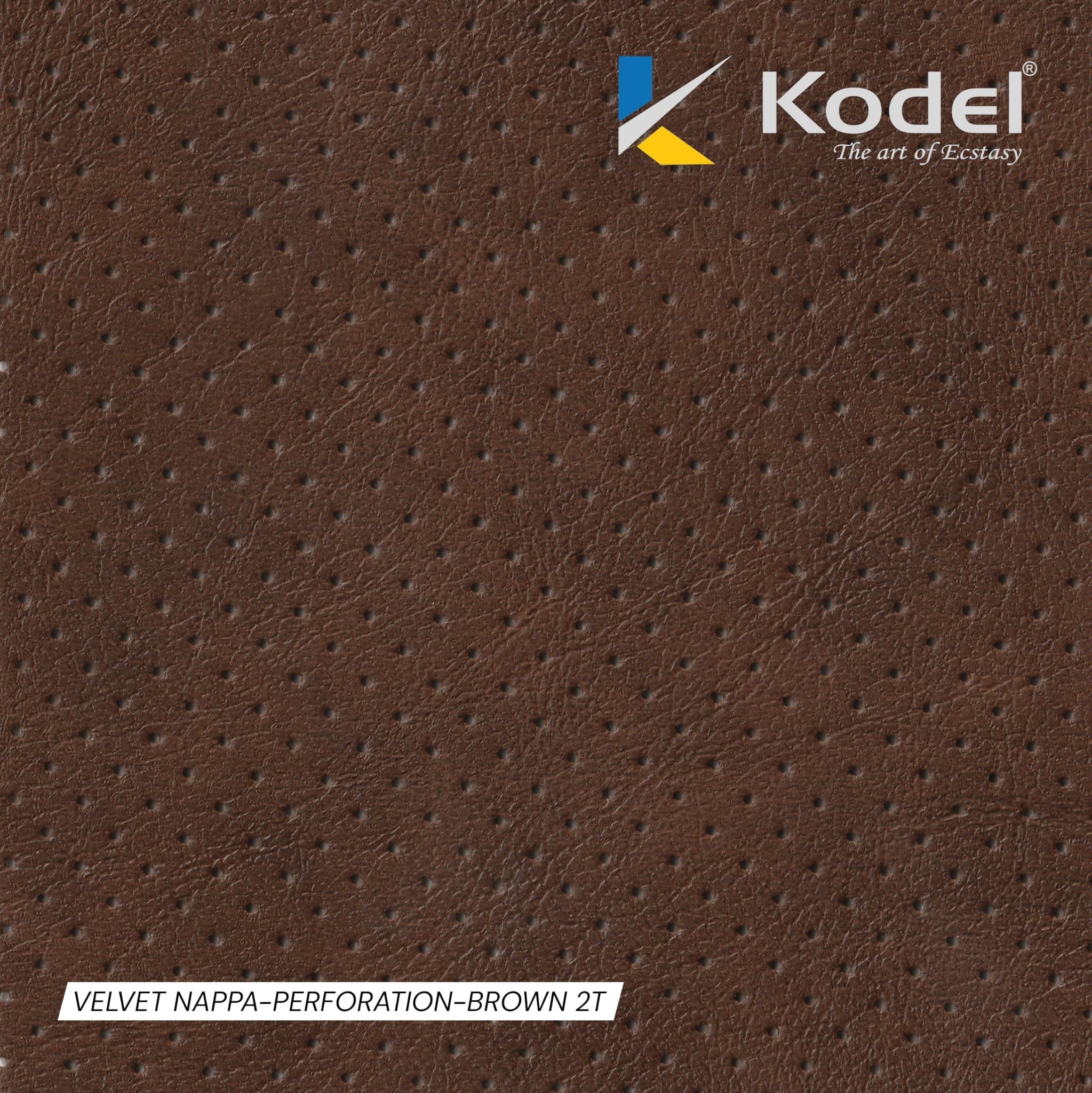 BROWN 2T