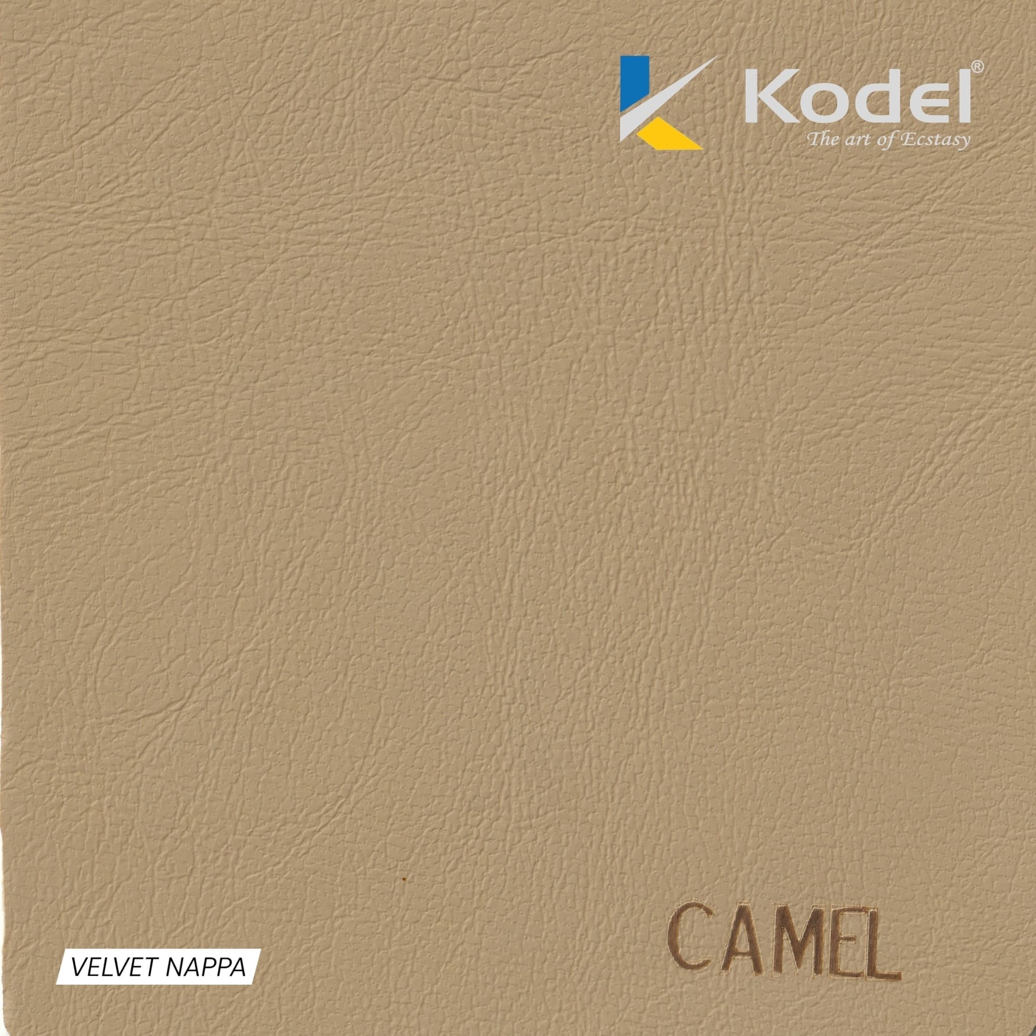 CAMEL