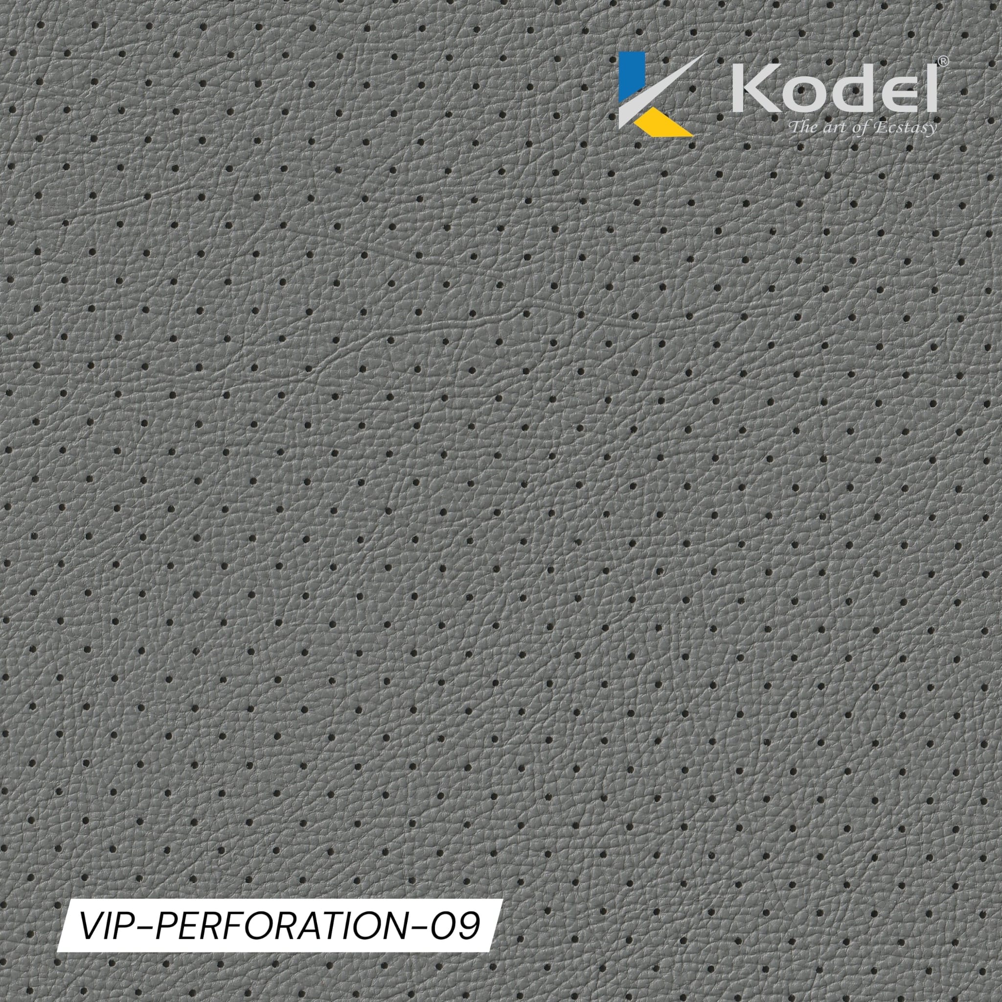 VIP Perforation-09