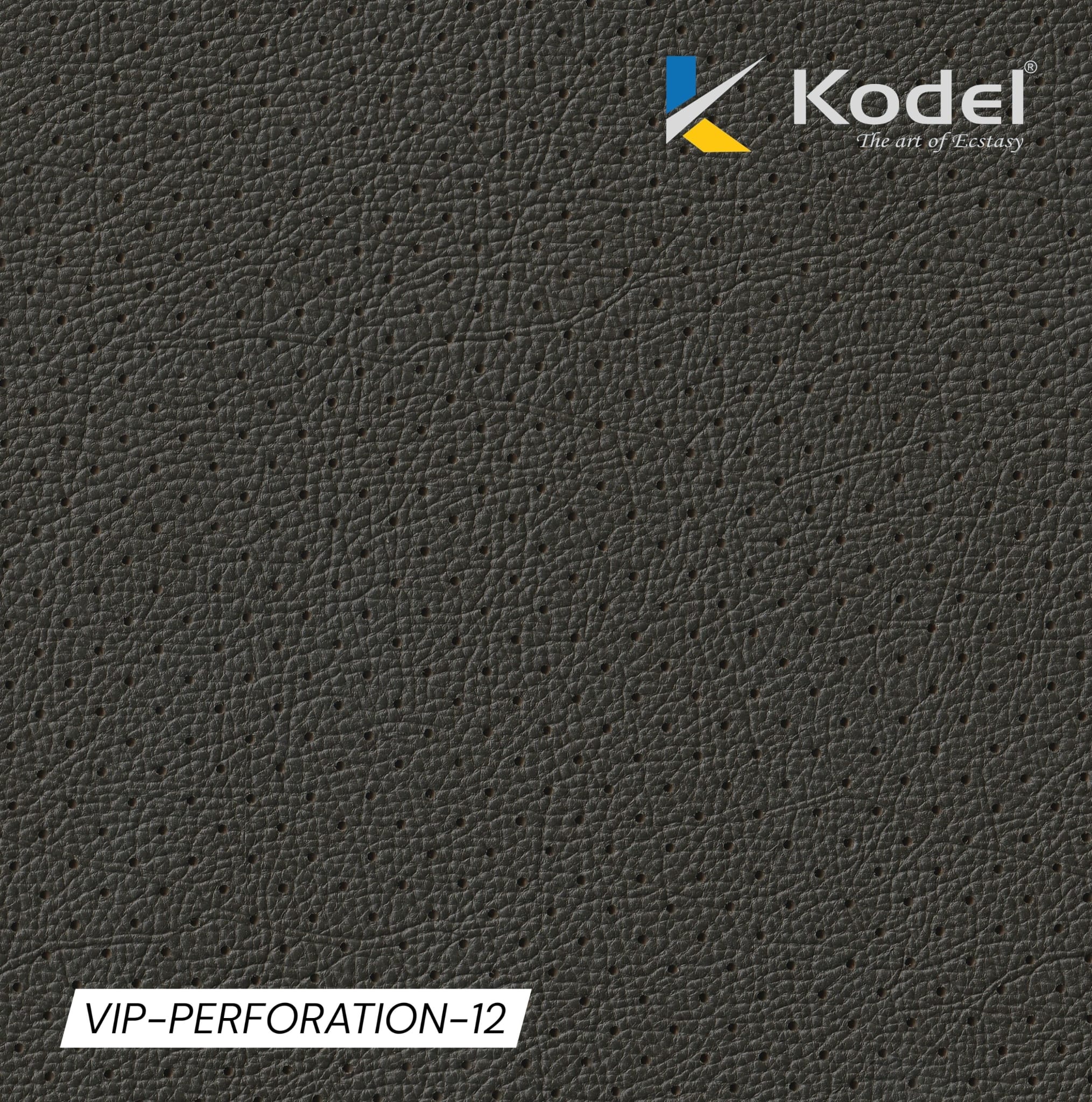 VIP Perforation-12
