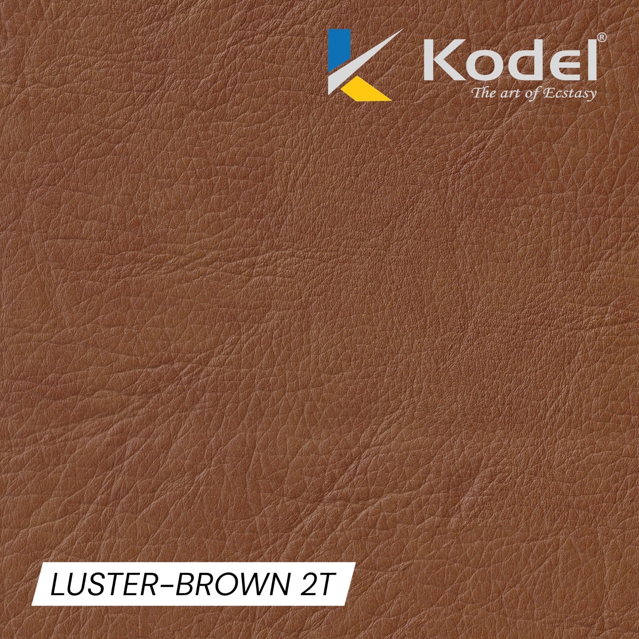 BROWN 2T