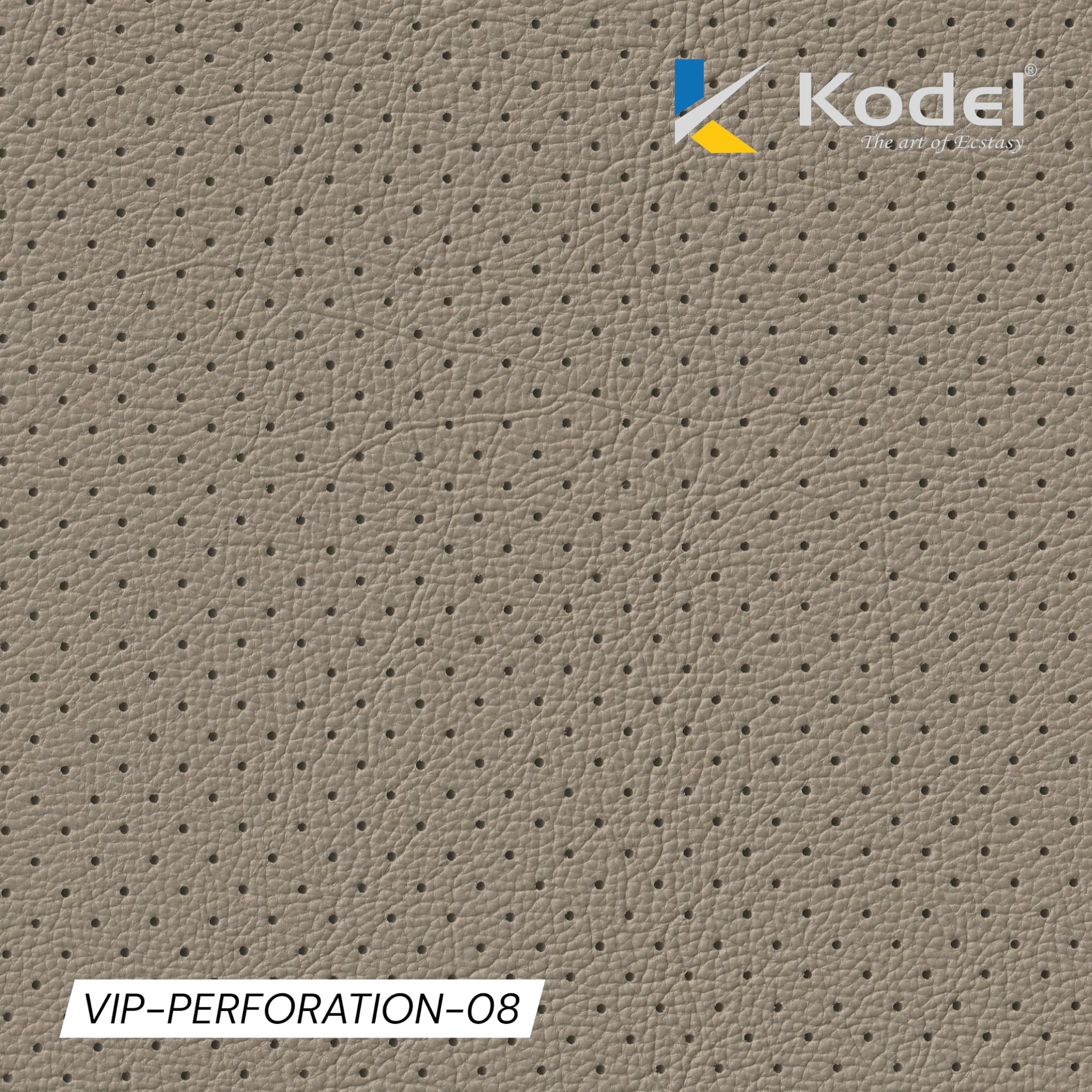 VIP Perforation-08