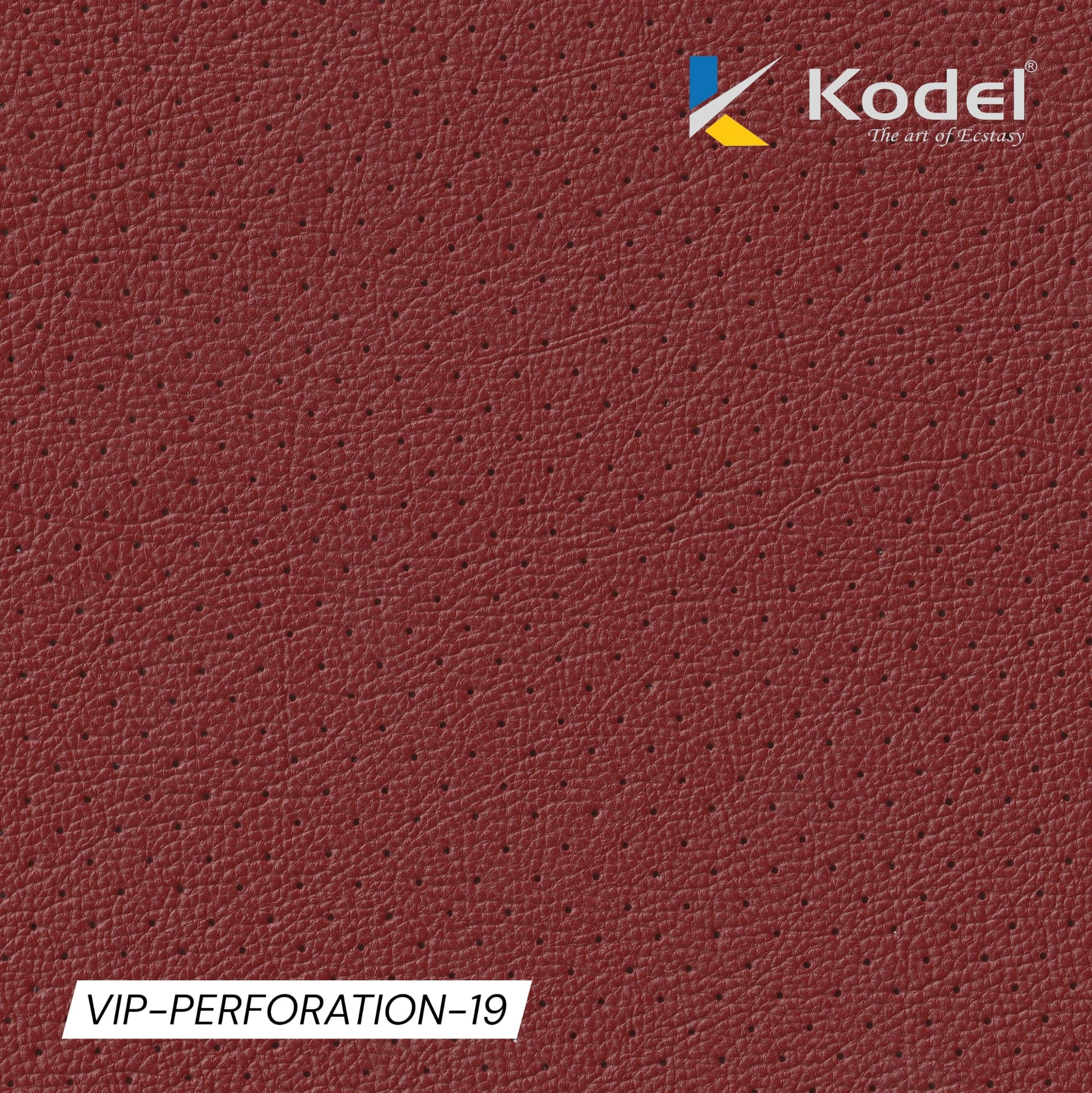 VIP Perforation-19