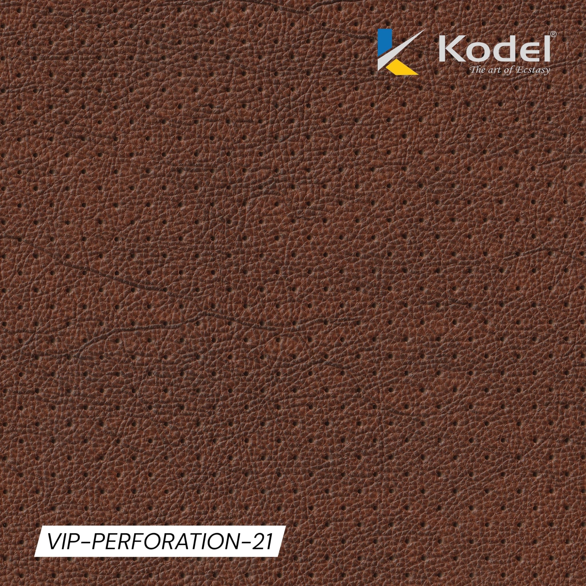 VIP Perforation-21