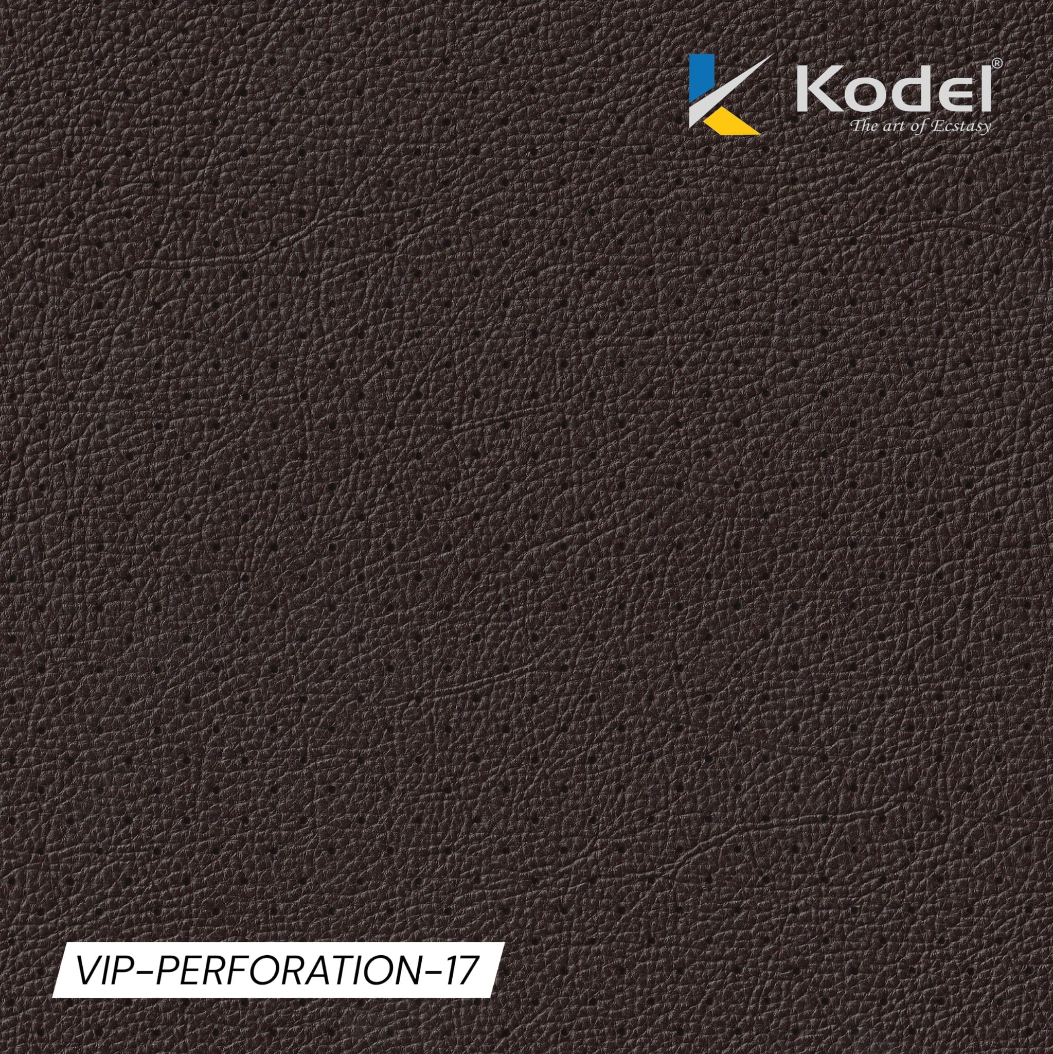 VIP Perforation-17