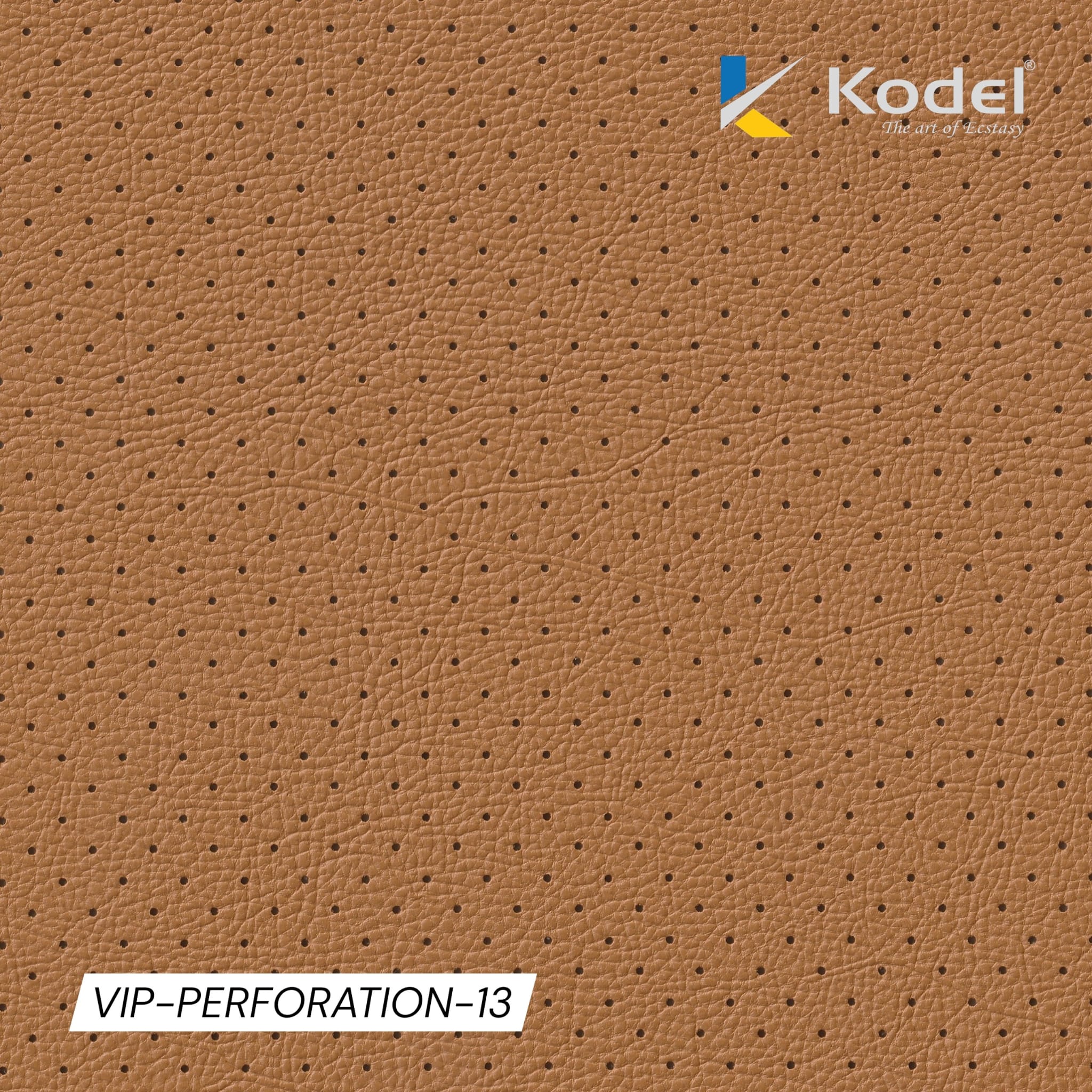 VIP Perforation-13