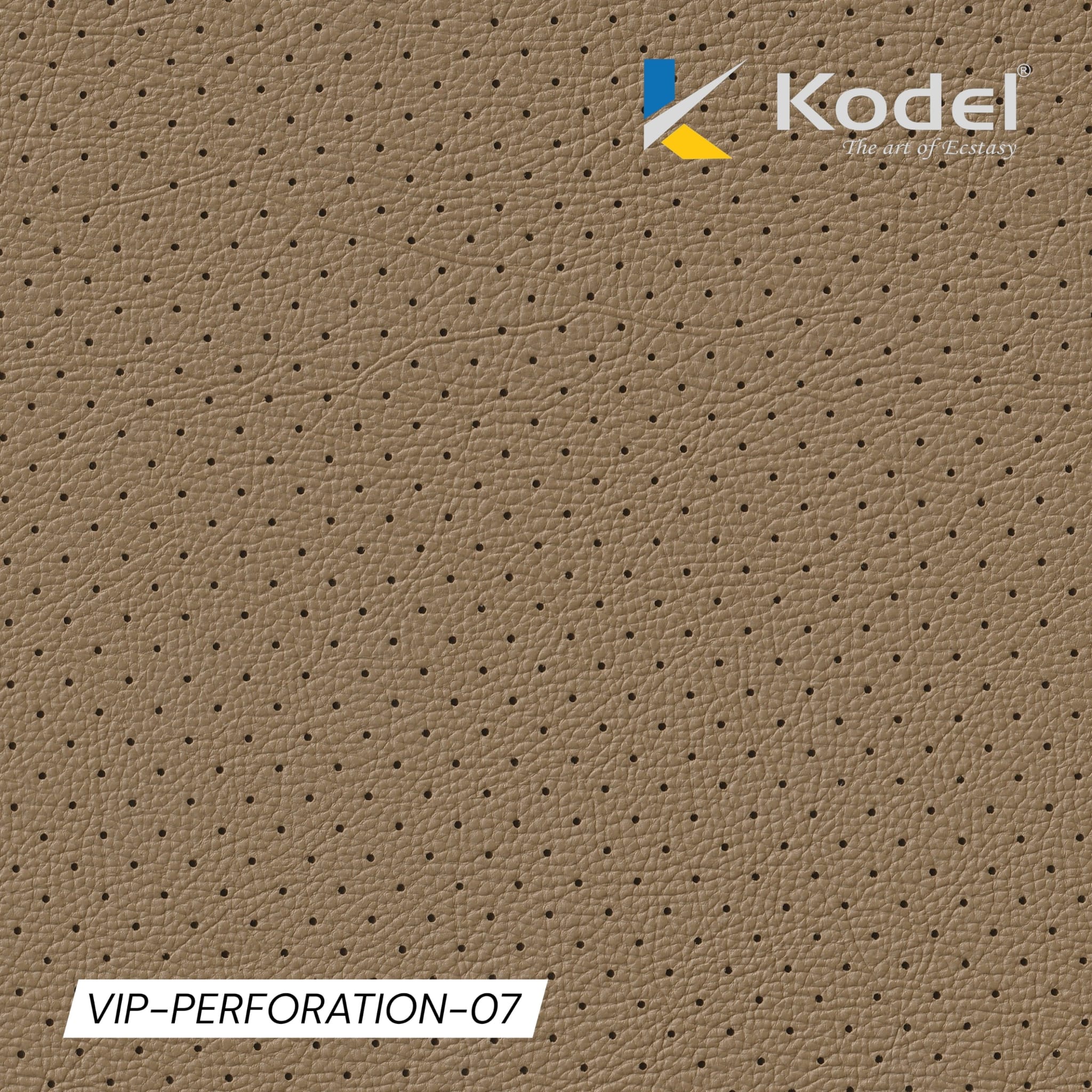 VIP Perforation-07