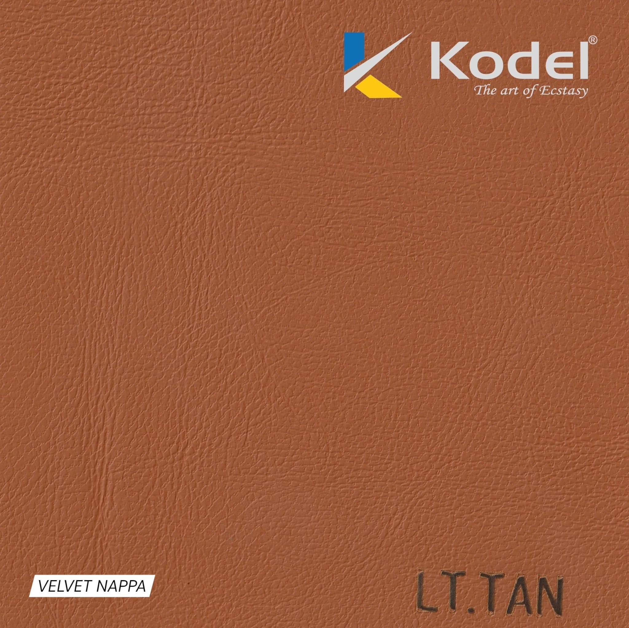 LT.TAN