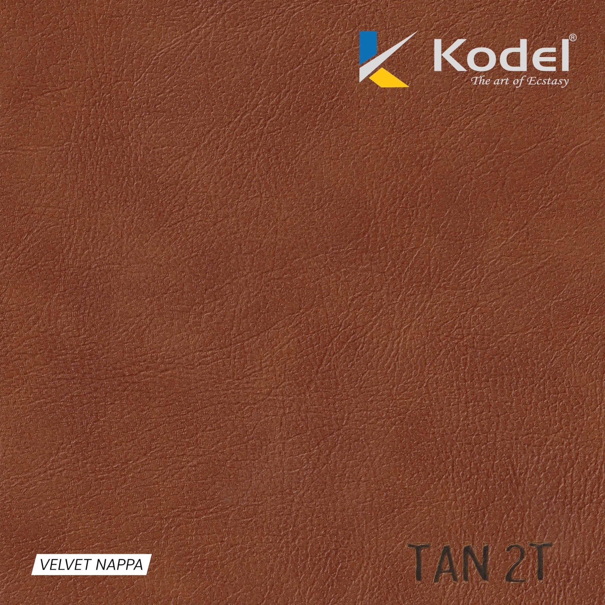 TAN 2T