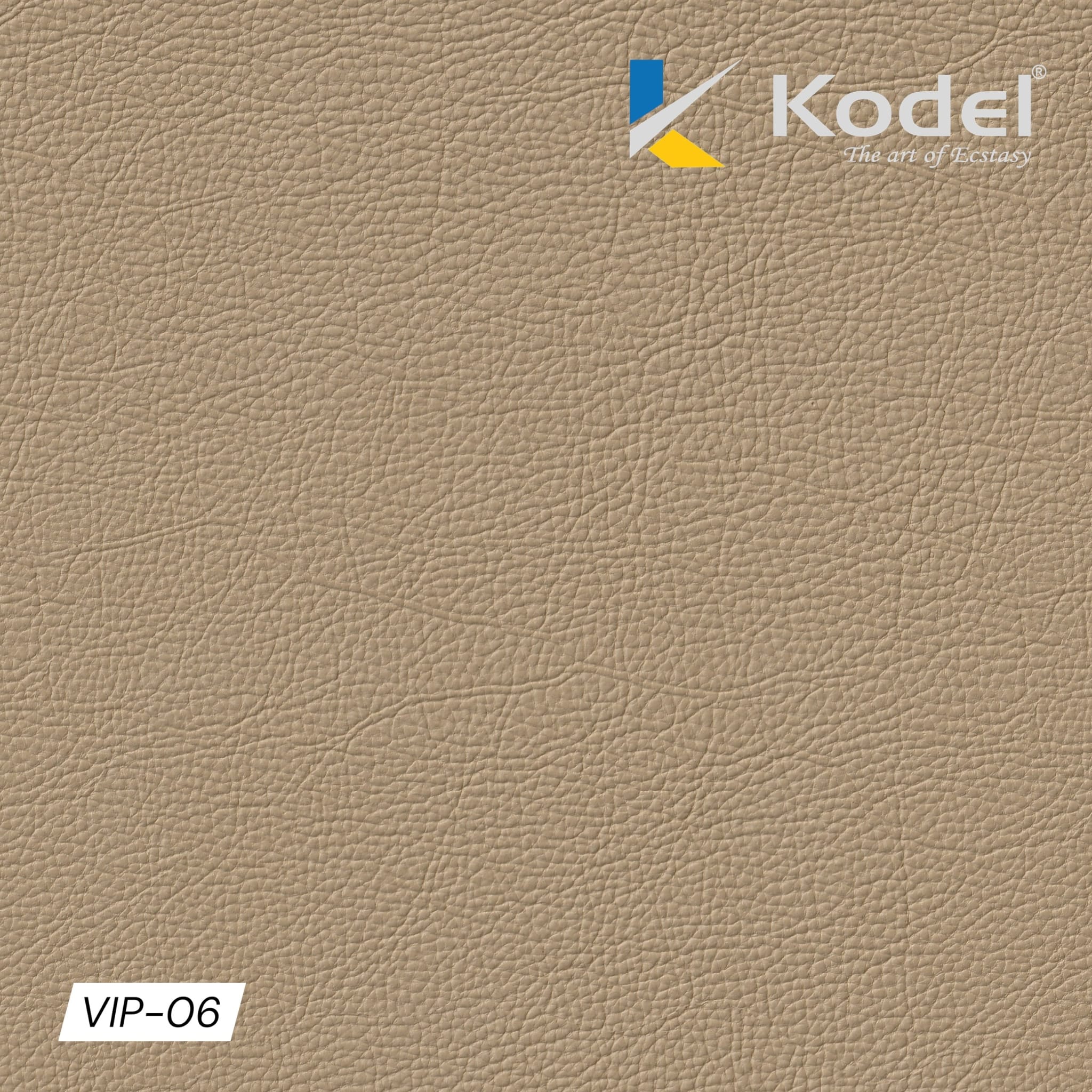 VIP-06